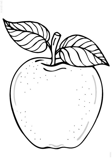 elma çizimi okul öncesi